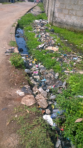 Improper disposal and poor sanitry condition .