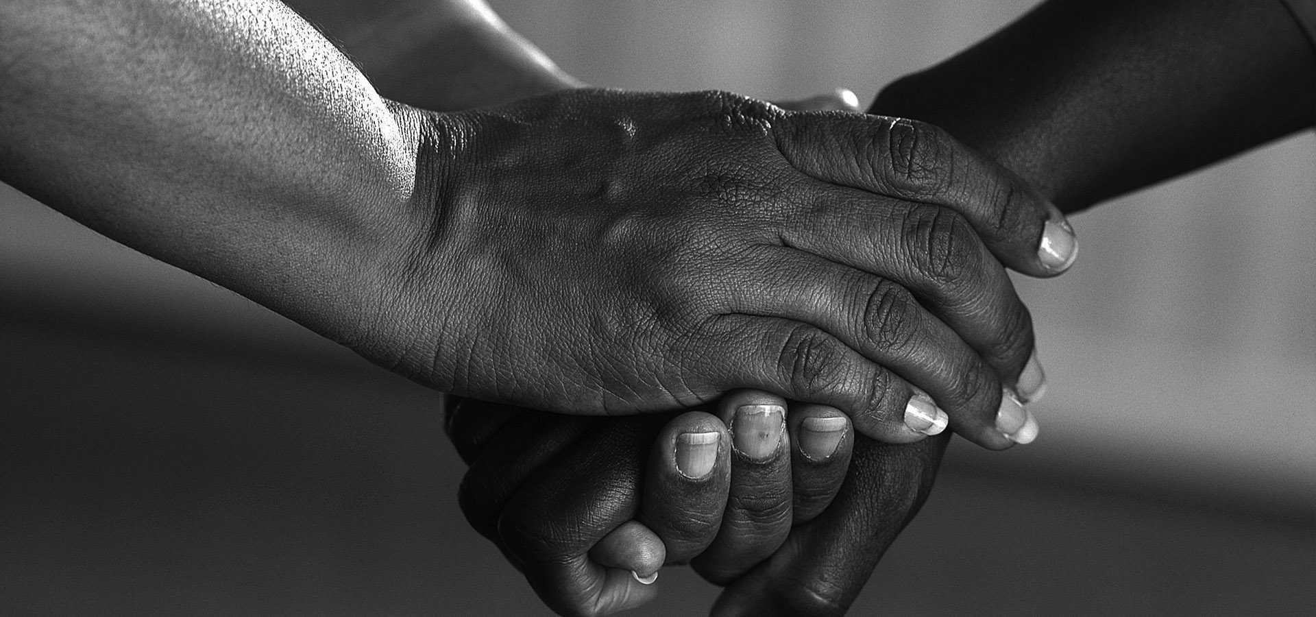 World Renewers Organisation main photo .